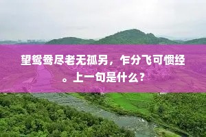 望鸳鸯尽老无孤另，乍分飞可惯经。上一句是什么？