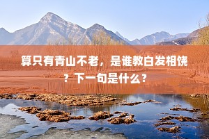算只有青山不老，是谁教白发相饶？下一句是什么？