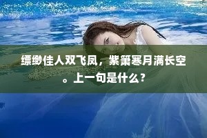 缥缈佳人双飞凤，紫箫寒月满长空。上一句是什么？