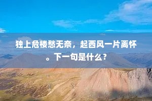 独上危楼愁无奈，起西风一片离怀。下一句是什么？