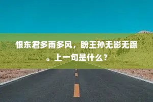 恨东君多雨多风，盼王孙无影无踪。上一句是什么？