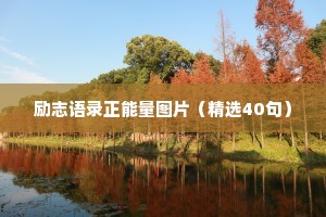 励志语录正能量图片（精选40句）