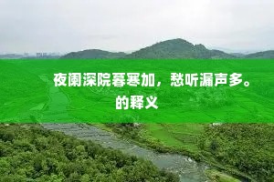 　　夜阑深院暮寒加，愁听漏声多。的释义