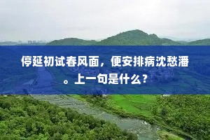 停延初试春风面，便安排病沈愁潘。上一句是什么？