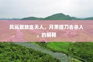 风高敢放连天人，月黑提刀去杀人。的解释