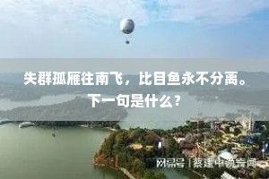失群孤雁往南飞，比目鱼永不分离。下一句是什么？