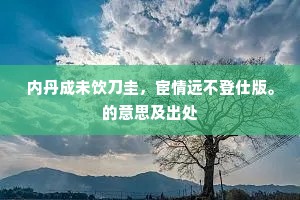 内丹成未饮刀圭，宦情远不登仕版。的意思及出处