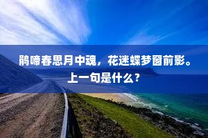鹃啼春思月中魂，花迷蝶梦窗前影。上一句是什么？