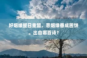 好姻缘整日重盟，恶姻缘番成画饼。出自哪首诗？