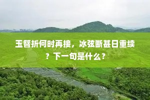 玉簪折何时再接，冰弦断甚日重续？下一句是什么？