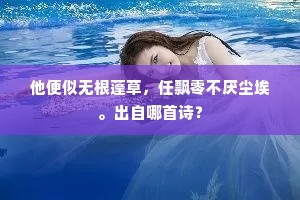 他便似无根蓬草，任飘零不厌尘埃。出自哪首诗？