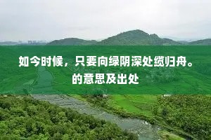 如今时候，只要向绿阴深处缆归舟。的意思及出处