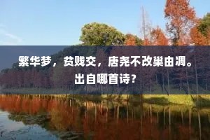繁华梦，贫贱交，唐尧不改巢由凋。出自哪首诗？