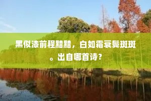黑似漆前程黯黯，白如霜衰鬓斑斑。出自哪首诗？