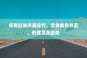 权夜起披衣厮应付，怎肯教有共无。的意思及出处