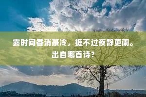 霎时间香消篆冷，捱不过夜静更阑。出自哪首诗？