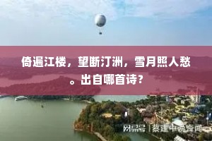 倚遍江楼，望断汀洲，雪月照人愁。出自哪首诗？