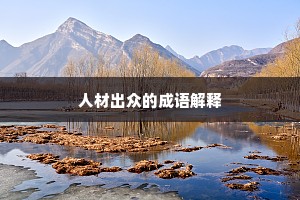 人材出众的成语解释