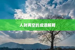 人财两空的成语解释