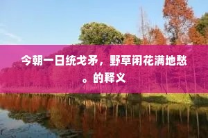 今朝一日统戈矛，野草闲花满地愁。的释义