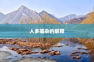 人多嘴杂的解释