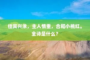 佳宾兴浓，主人情重，合和小桃红。全诗是什么？