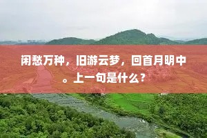 闲愁万种，旧游云梦，回首月明中。上一句是什么？