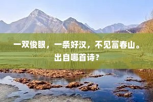 一双俊眼，一条好汉，不见富春山。出自哪首诗？