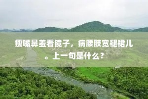瘦嘴鼻羞看镜子，病腰肢宽褪裙儿。上一句是什么？