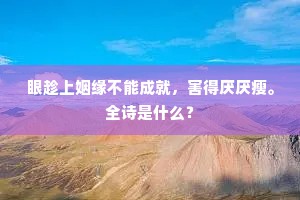 眼趁上姻缘不能成就，害得厌厌瘦。全诗是什么？