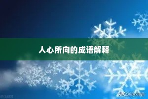 人心所向的成语解释