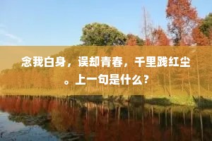 念我白身，误却青春，千里践红尘。上一句是什么？