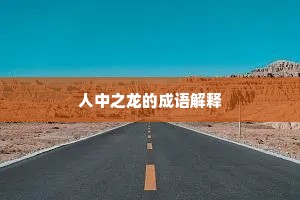 人中之龙的成语解释