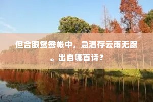 但合眼鸳鸯帐中，急温存云雨无踪。出自哪首诗？