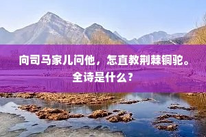 向司马家儿问他，怎直教荆棘铜驼。全诗是什么？