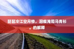 琵琶冷江空月惨，泪痕淹司马青衫。的解释
