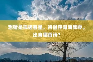 想猜是孤槎客星，待温存湖海飘零。出自哪首诗？