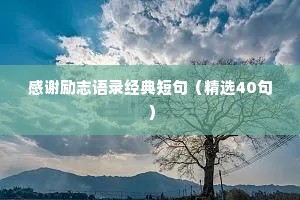 感谢励志语录经典短句（精选40句）