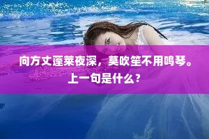 向方丈蓬莱夜深，莫吹笙不用鸣琴。上一句是什么？