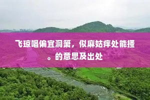 飞琼唱偏宜洞箫，似麻姑痒处能搔。的意思及出处