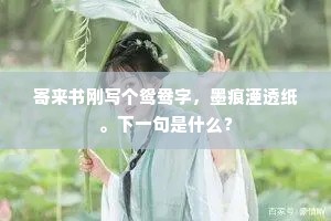 寄来书刚写个鸳鸯字，墨痕湮透纸。下一句是什么？