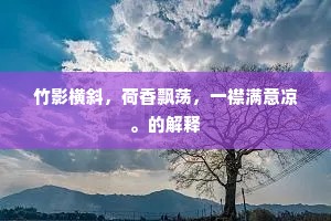 竹影横斜，荷香飘荡，一襟满意凉。的解释
