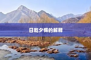 日乾夕惕的解释