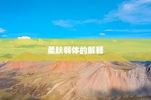 柔肤弱体的解释