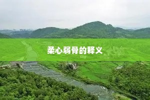 柔心弱骨的释义