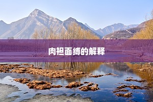 肉袒面缚的解释