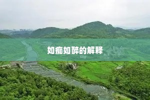 如痴如醉的解释