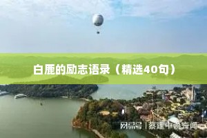 白鹿的励志语录（精选40句）