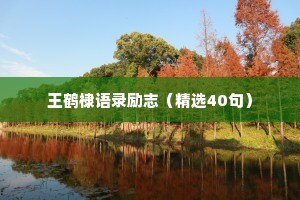 王鹤棣语录励志（精选40句）