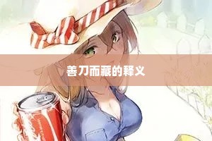 善刀而藏的释义